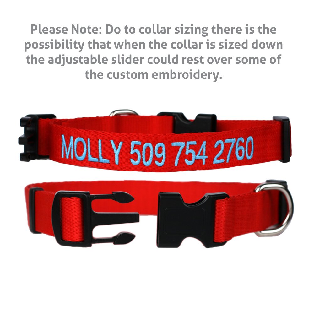 Personalized Dog Collar with Pet Name and Phone Number Q32721