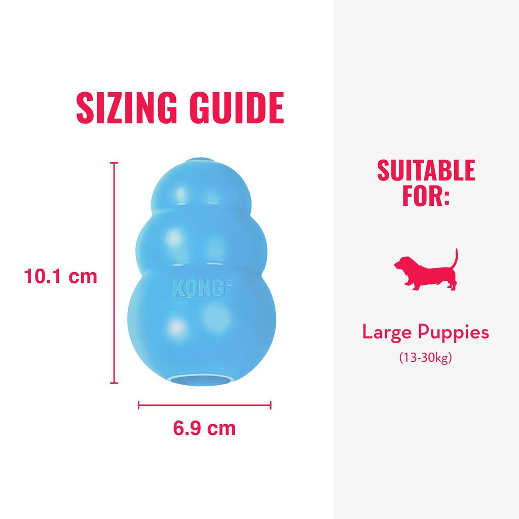 Natural Rubber Dog Toy, Pack of 2 P82754