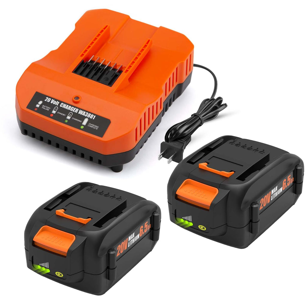 2 Pack 6.5Ah Replacement 20v Lithium Battery and Charger Kit Q28574