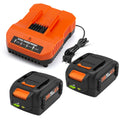 2 Pack 6.5Ah Replacement 20v Lithium Battery and Charger Kit Q28574