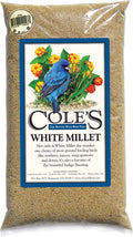 White Millet Bird Seed 20-Pound J972