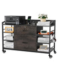 2 Drawer Metal File Cabinet with Lock and 6 Open Shelves, Gray L178