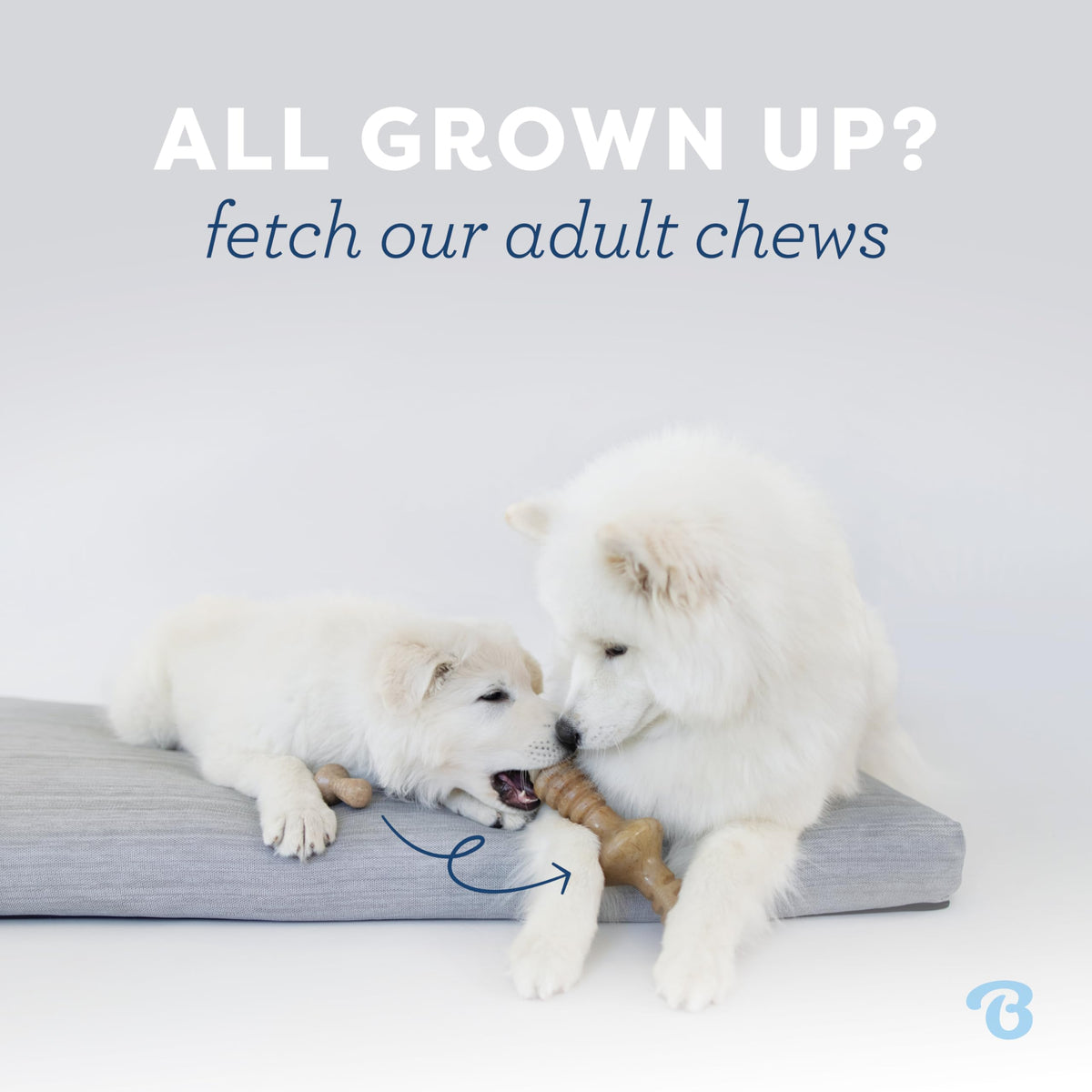 2-Pack Dog Chew Toys L10515
