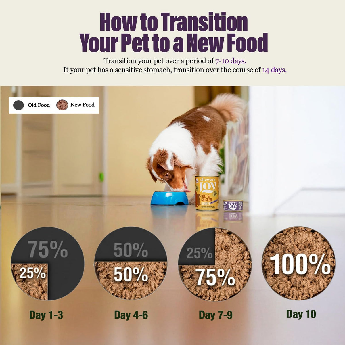 Wet Dog Food Small Breed Variety Pack Canned Food 12 Cans 14 oz R6620