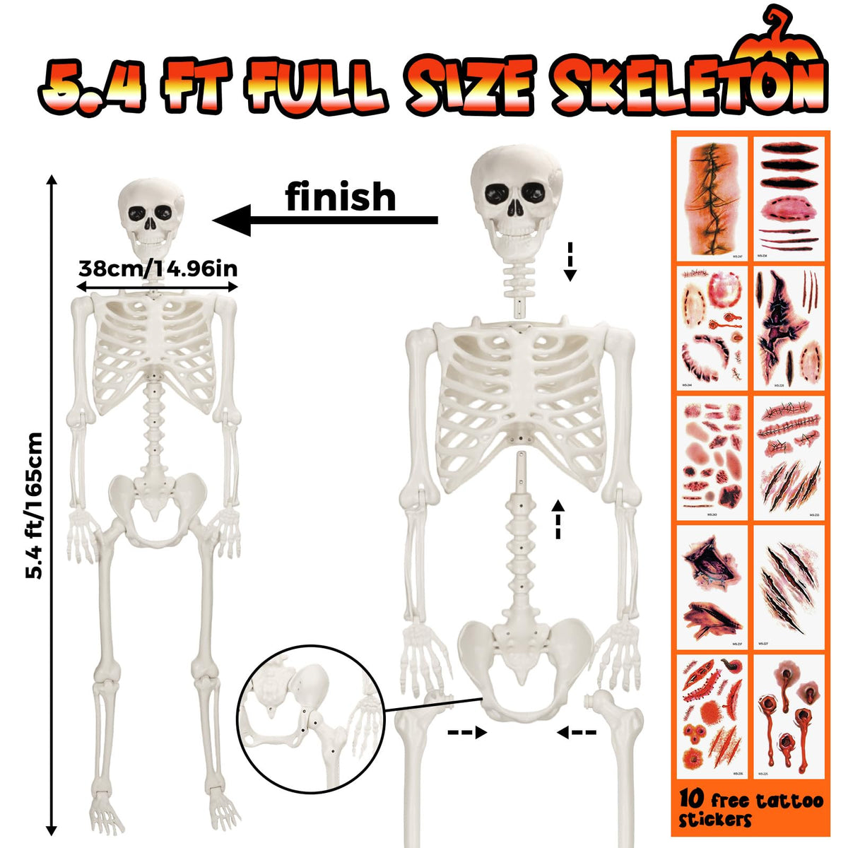 Life Size Poseable Skeleton X6399