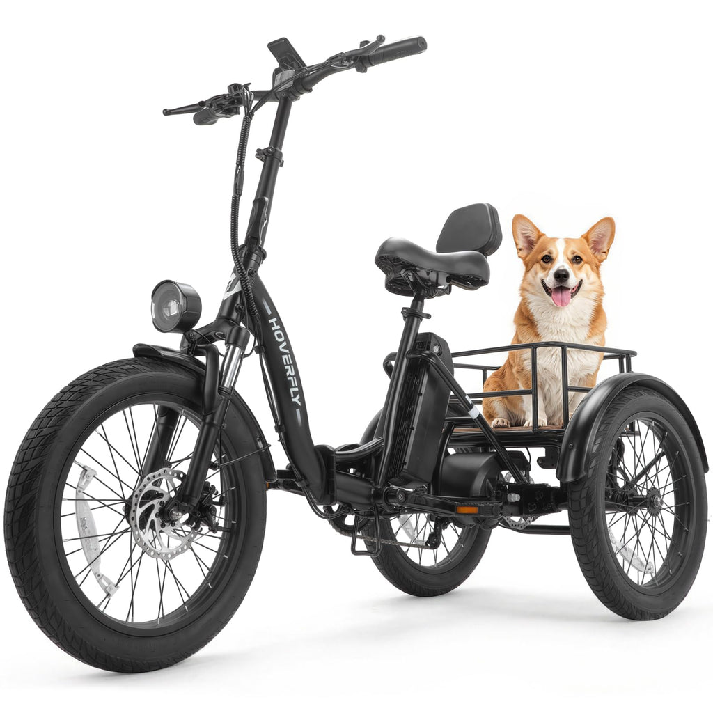 Electric Tricycle for Adults 750W Peak Motor 20"x3" Fat Tire L264
