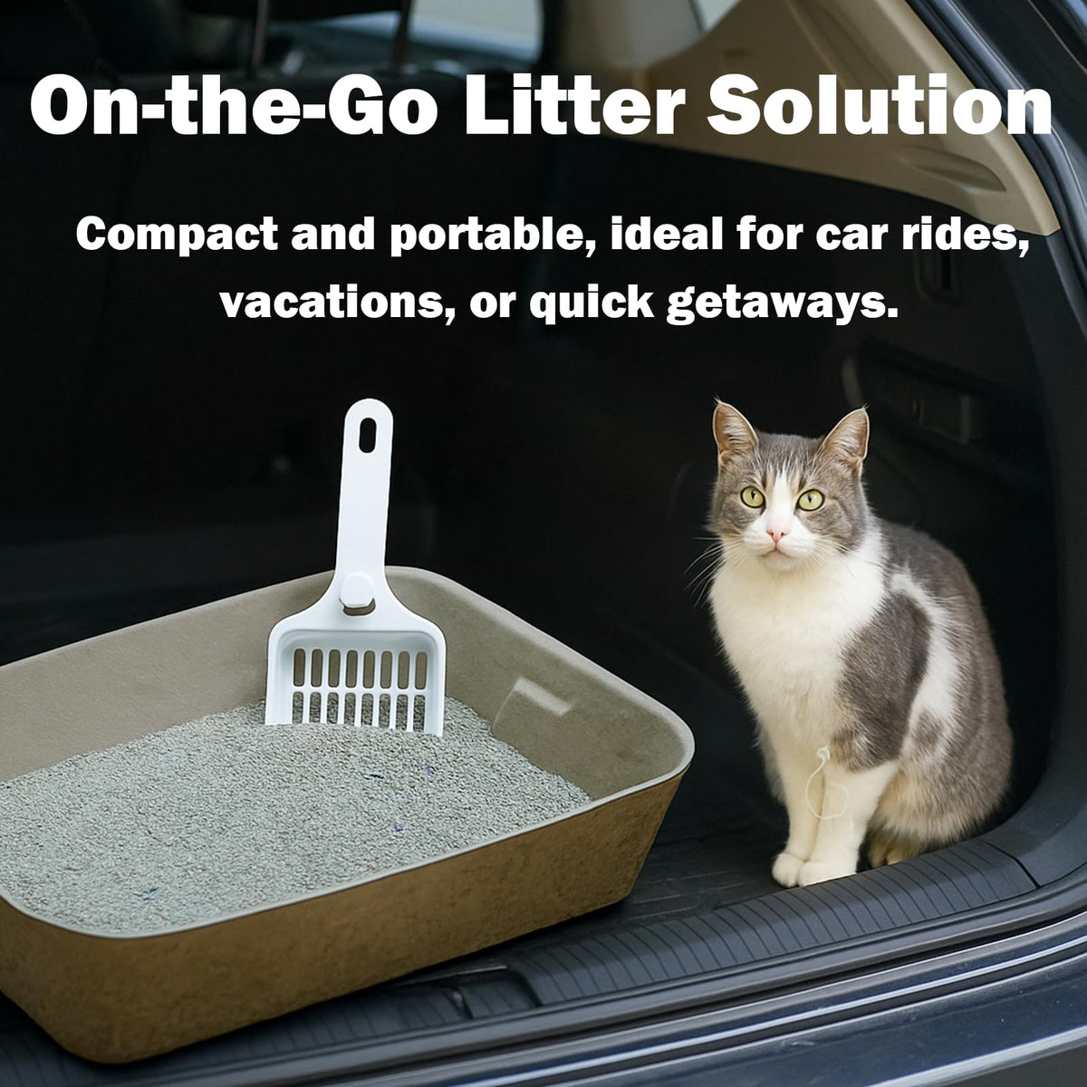 8 Pack Disposable Litter Boxes N2497