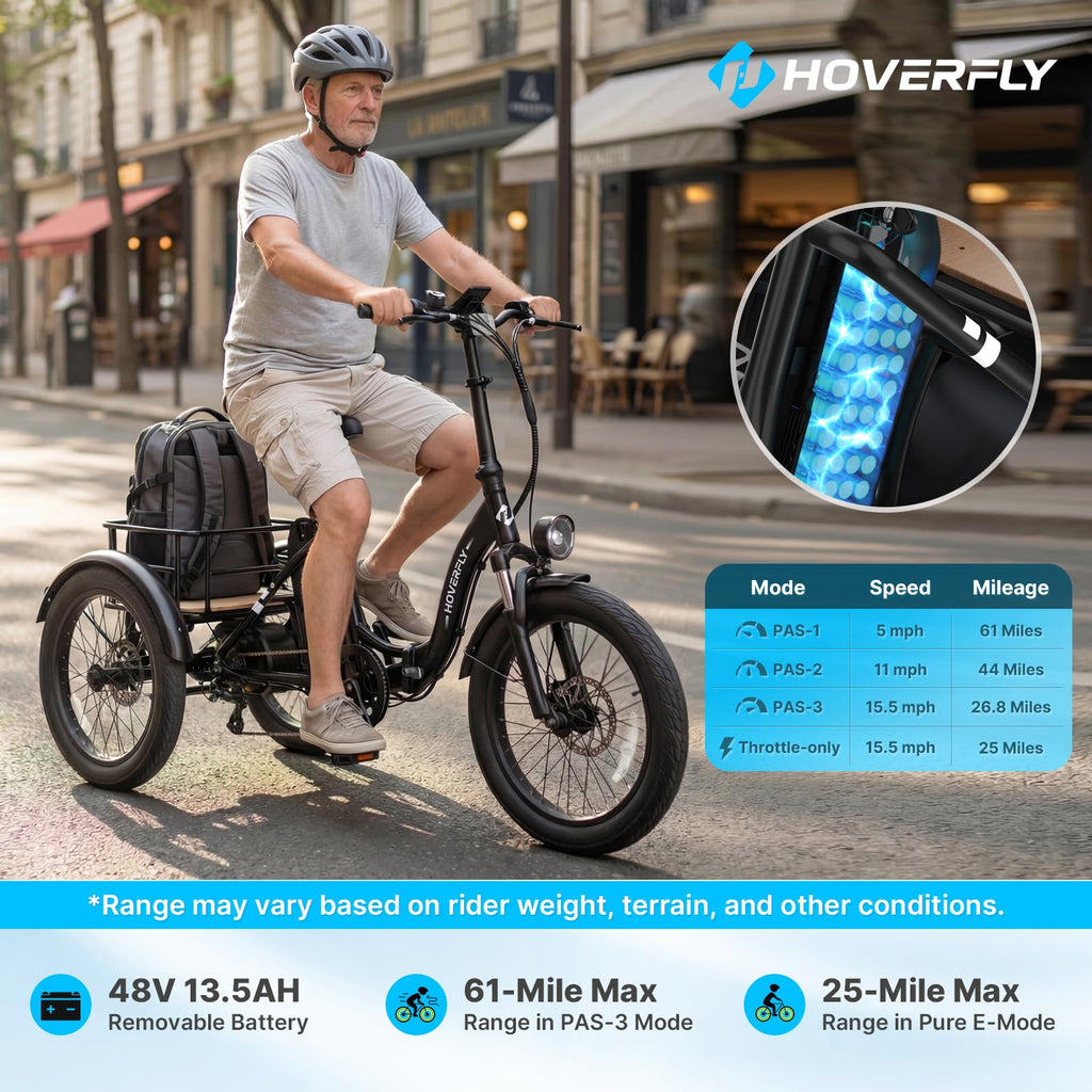 Electric Tricycle for Adults 750W Peak Motor 20"x3" Fat Tire L264
