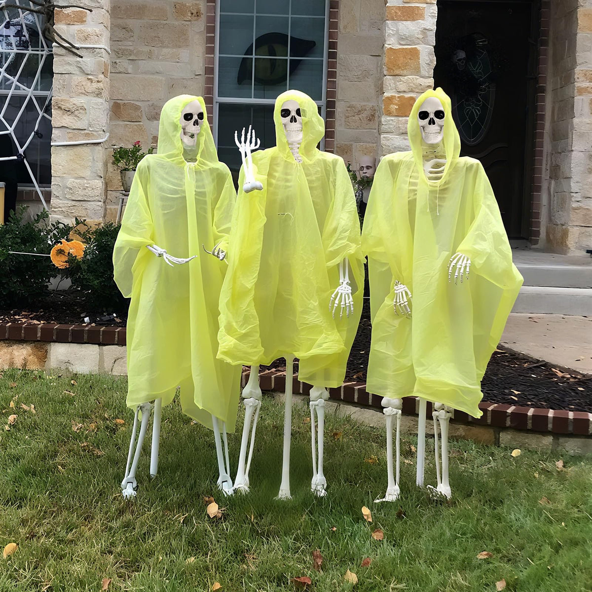 Life Size Poseable Skeleton X6399