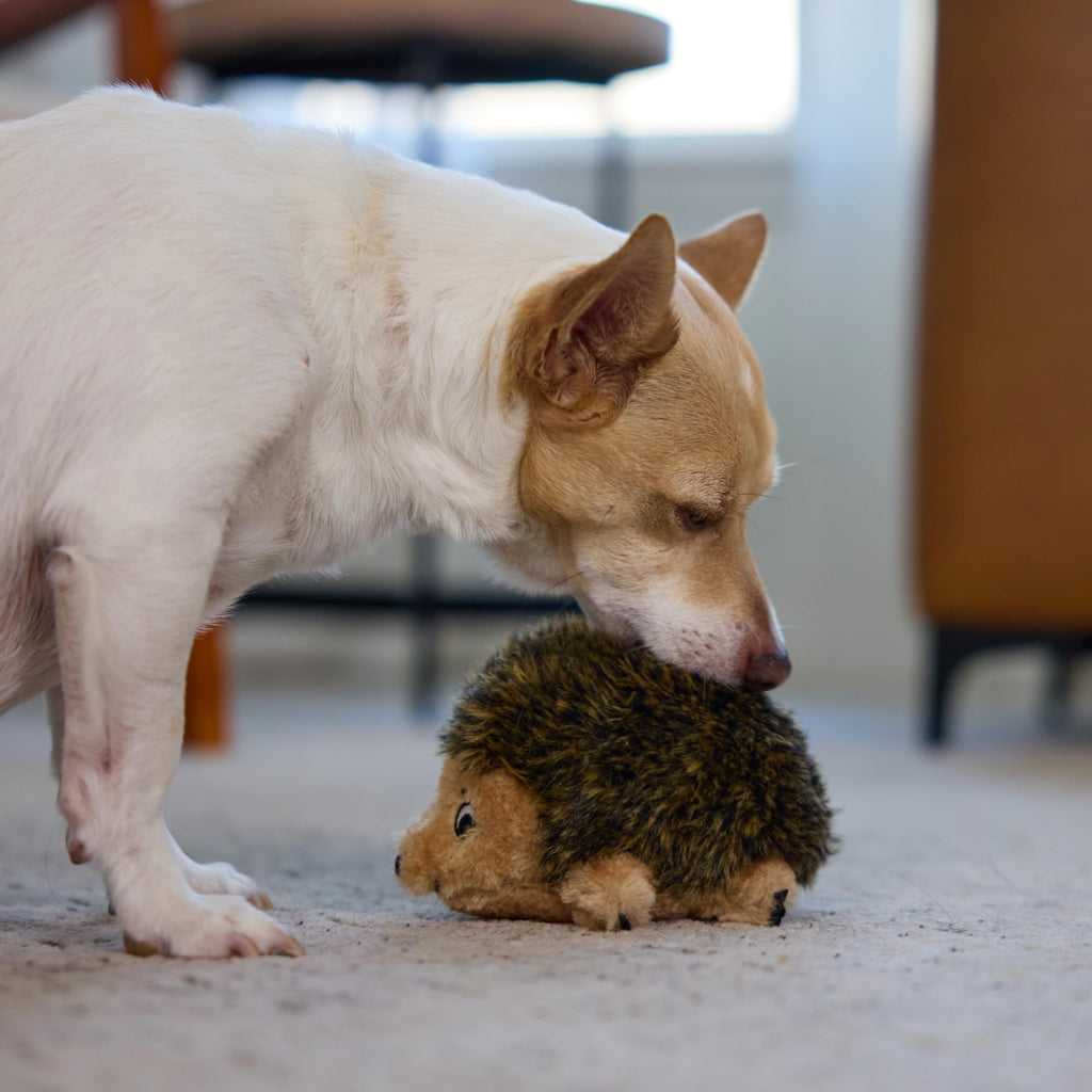 Plush Dog Toy I119688