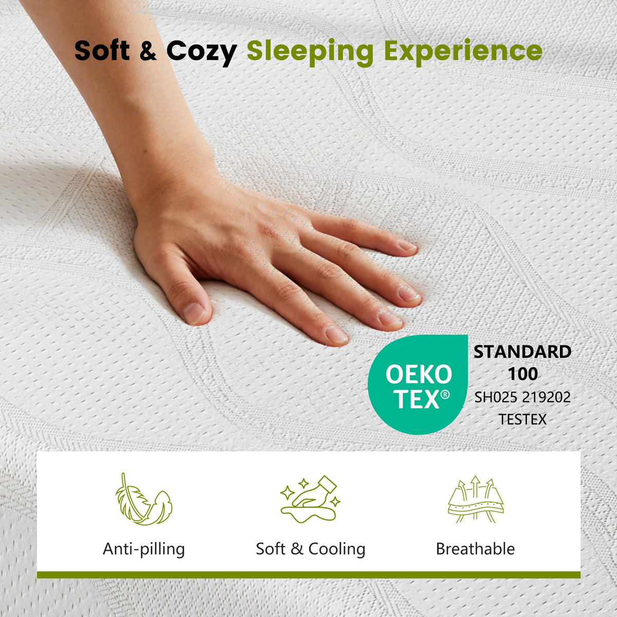 6 Inch Twin Memory Foam Mattress B1899