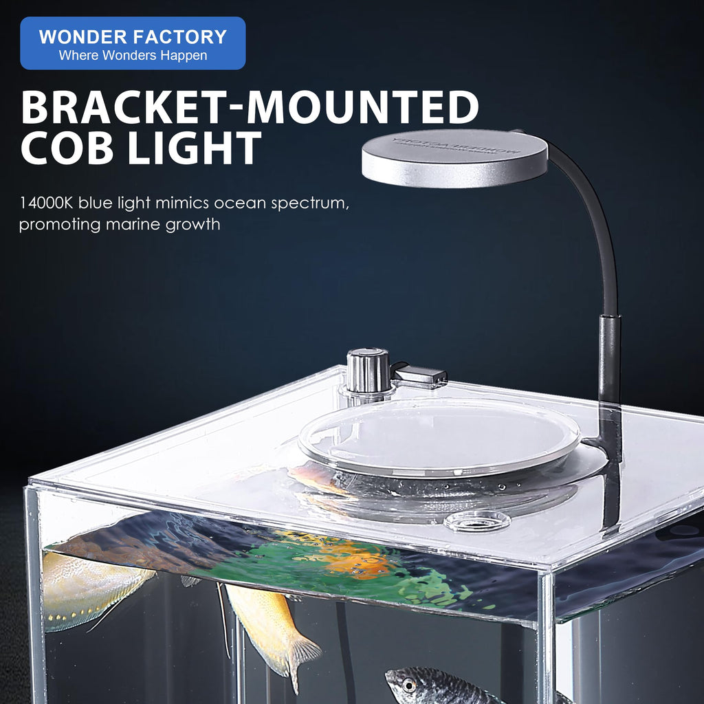3 Gallon Fish Tank Aquarium G894941