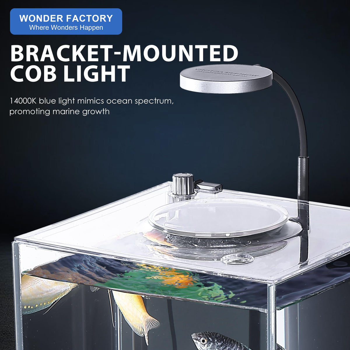 3 Gallon Fish Tank Aquarium G894941