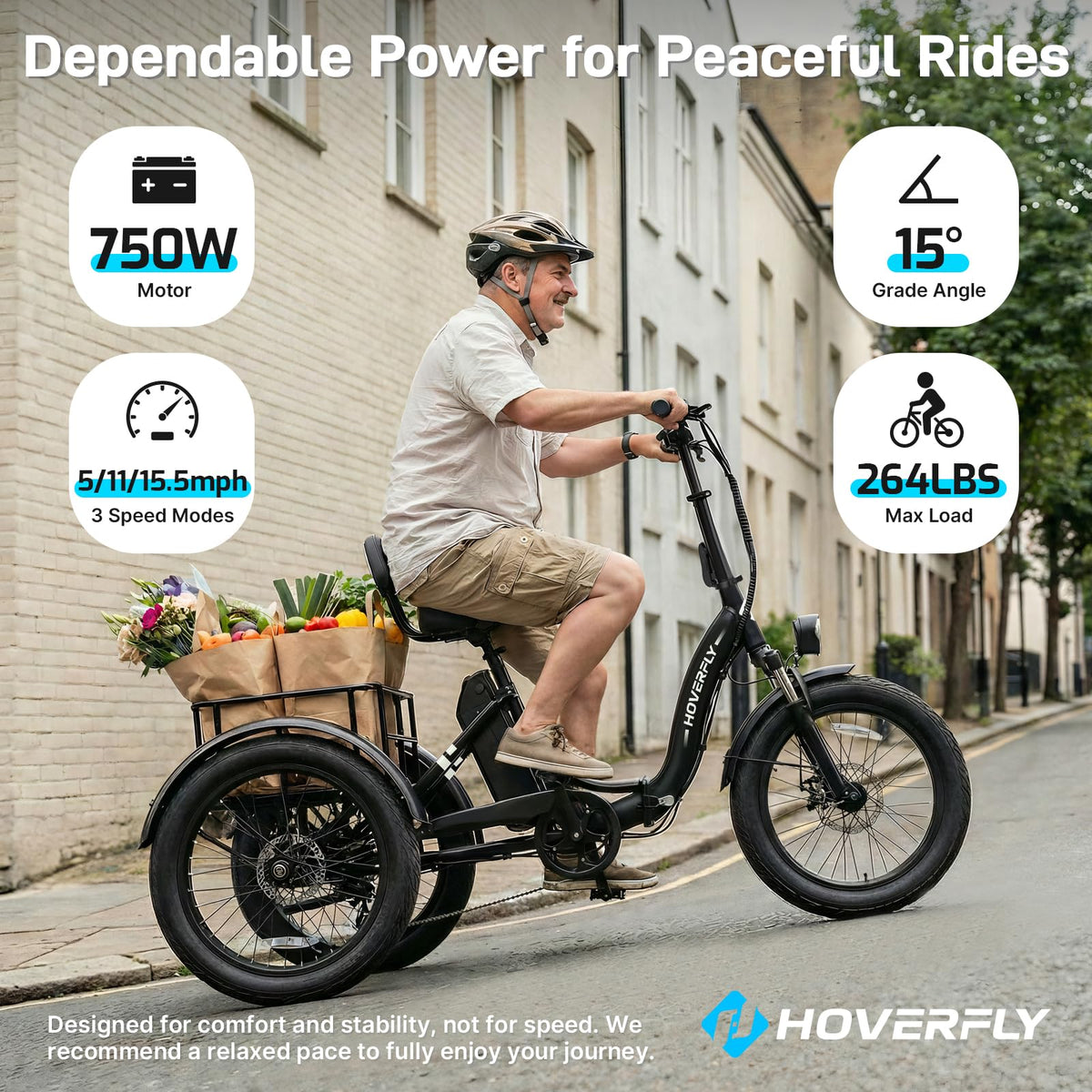 Electric Tricycle for Adults 750W Peak Motor 20"x3" Fat Tire L264