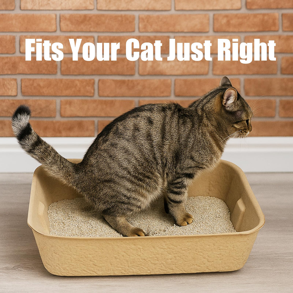 8 Pack Disposable Litter Boxes N2497