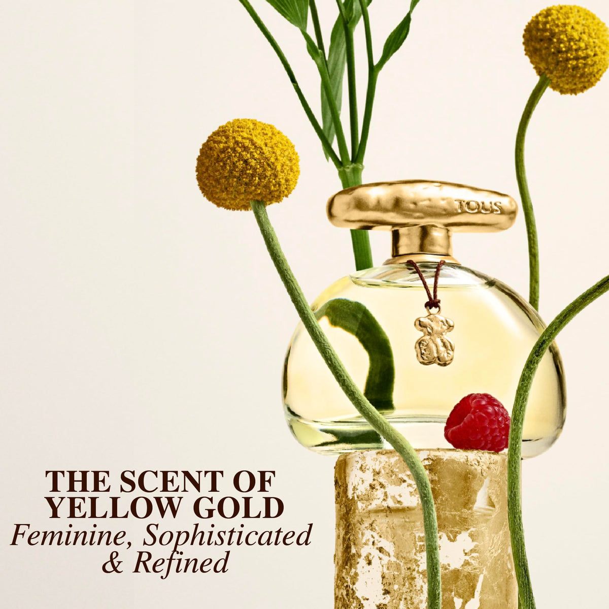 Eau de Toilette Floral Fruity Fragrance 3.4 Fl Oz G6585