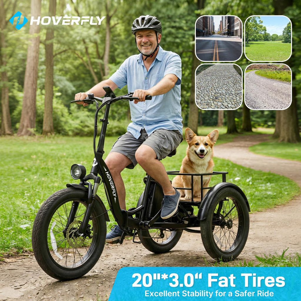 Electric Tricycle for Adults 750W Peak Motor 20"x3" Fat Tire L264