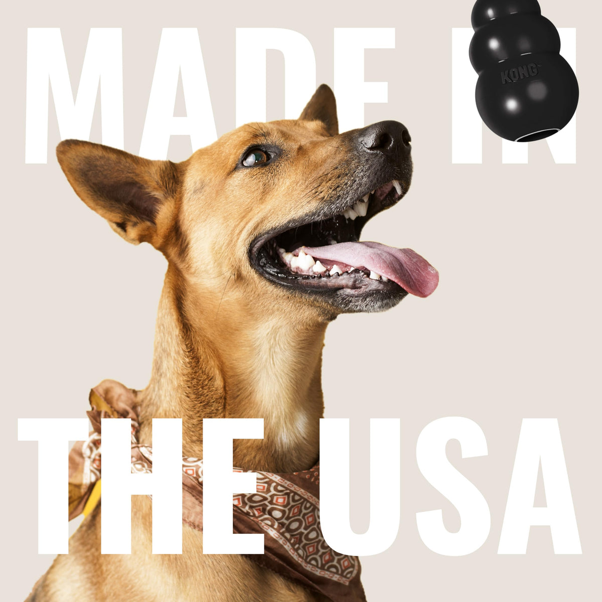 Natural Rubber Dog Toy, Pack of 2 P82754