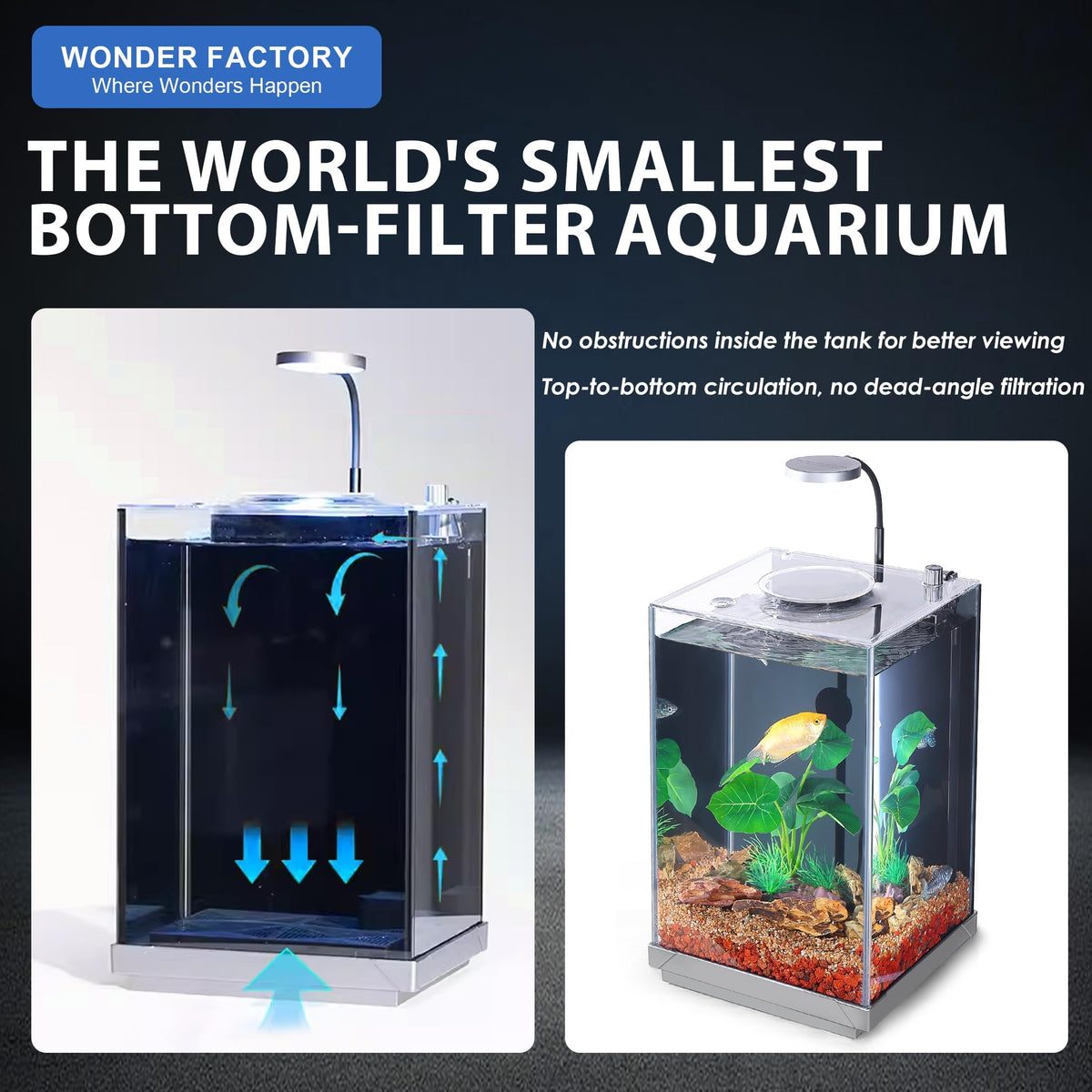 3 Gallon Fish Tank Aquarium G894941