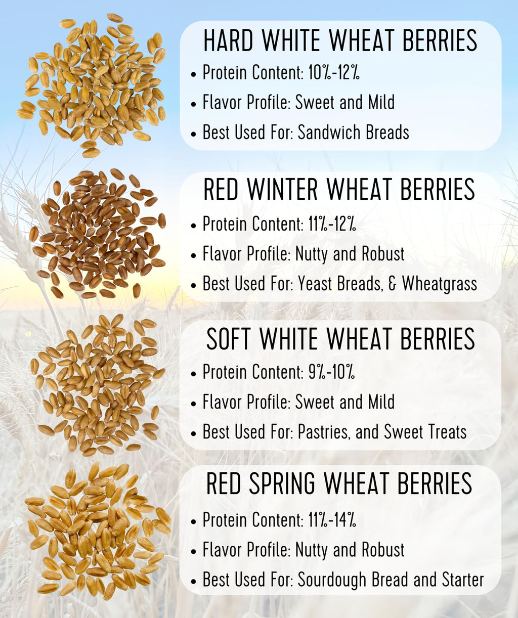 Hard Red Spring Wheat Berries 25 LBS Bag Z5393
