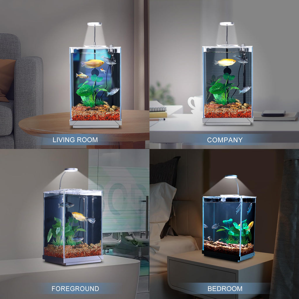 3 Gallon Fish Tank Aquarium G894941