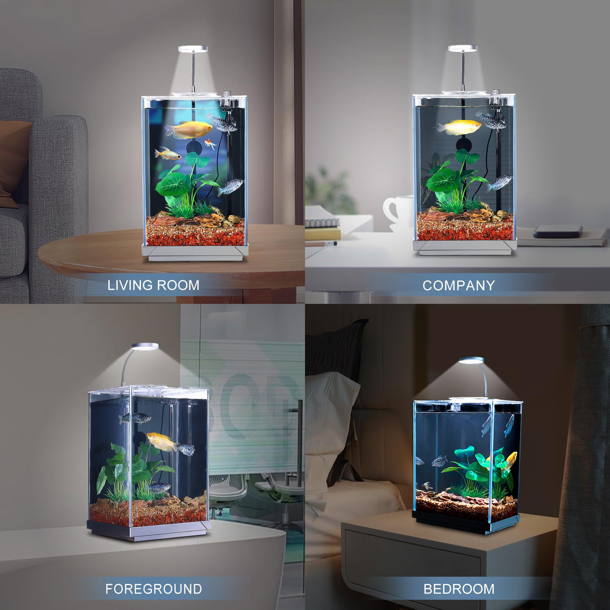 3 Gallon Fish Tank Aquarium G894941
