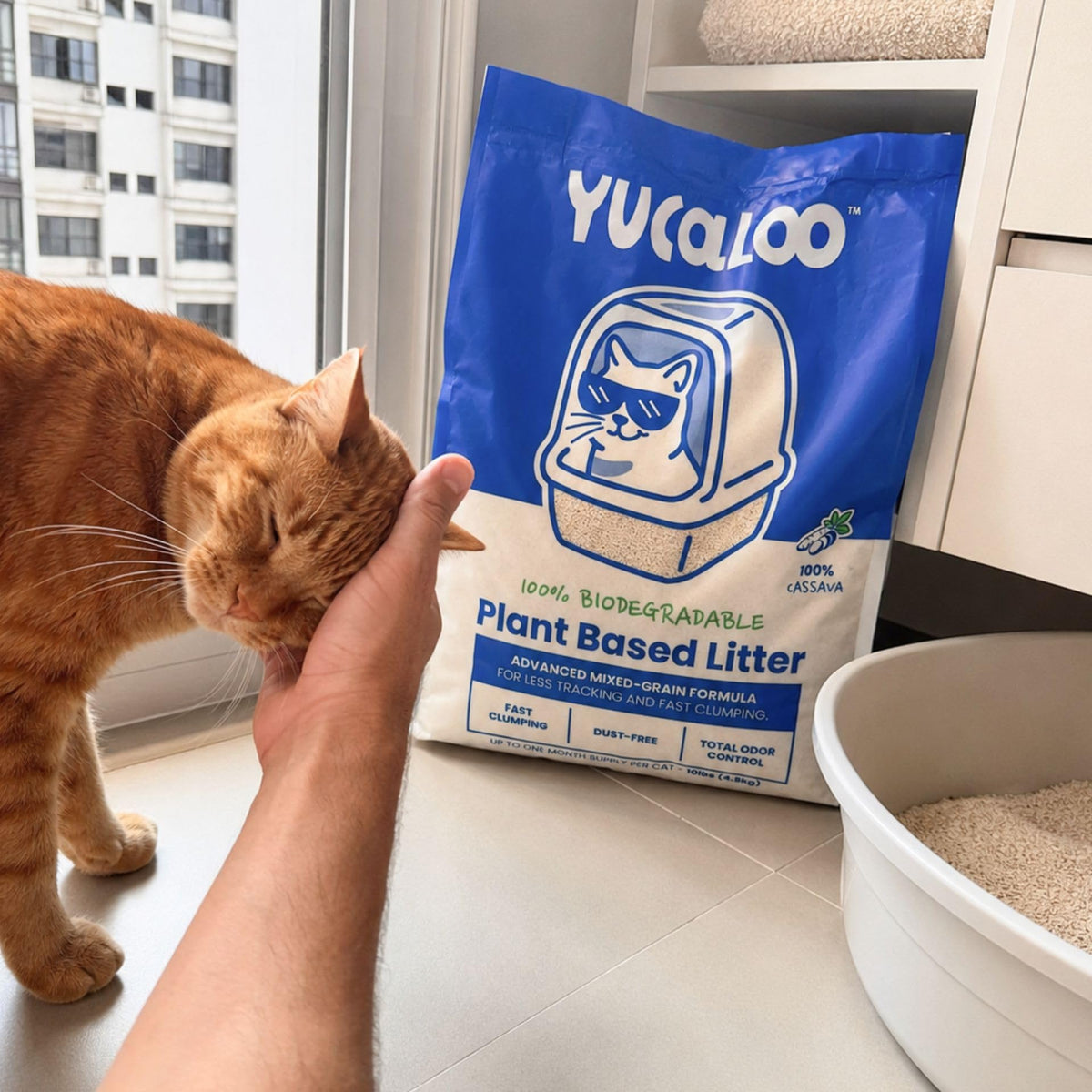 Unscented Cassava Cat Litter 10 lbs F13708