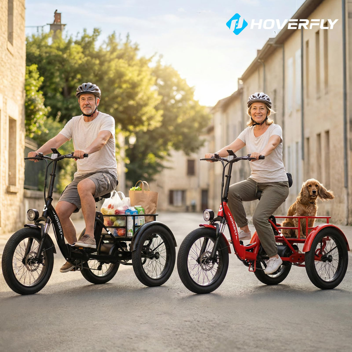 Electric Tricycle for Adults 750W Peak Motor 20"x3" Fat Tire L264