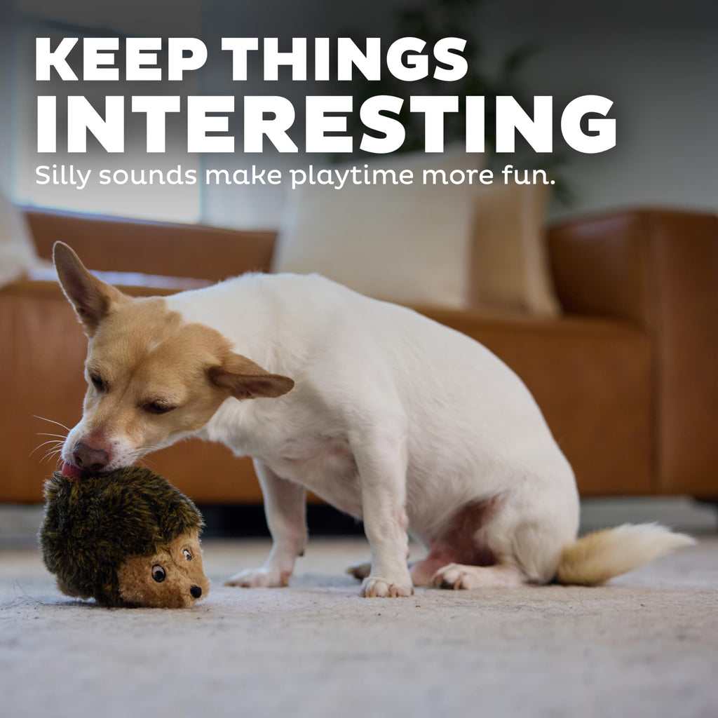 Plush Dog Toy I119688