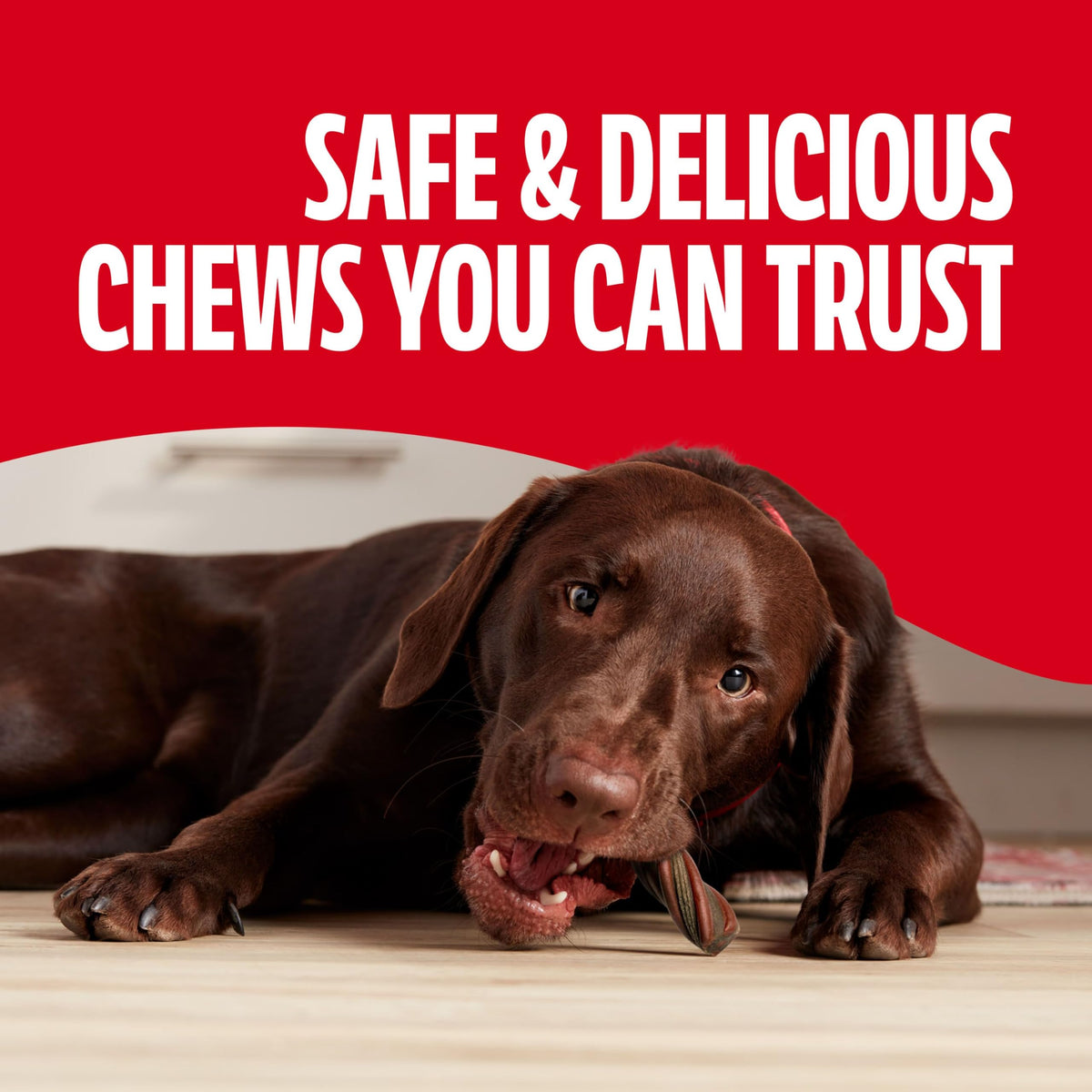 Real Beef Dog Chews K67706