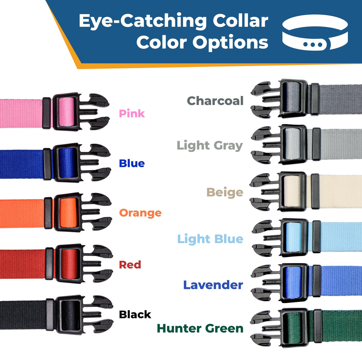 Personalized Dog Collar with Pet Name and Phone Number Q32721