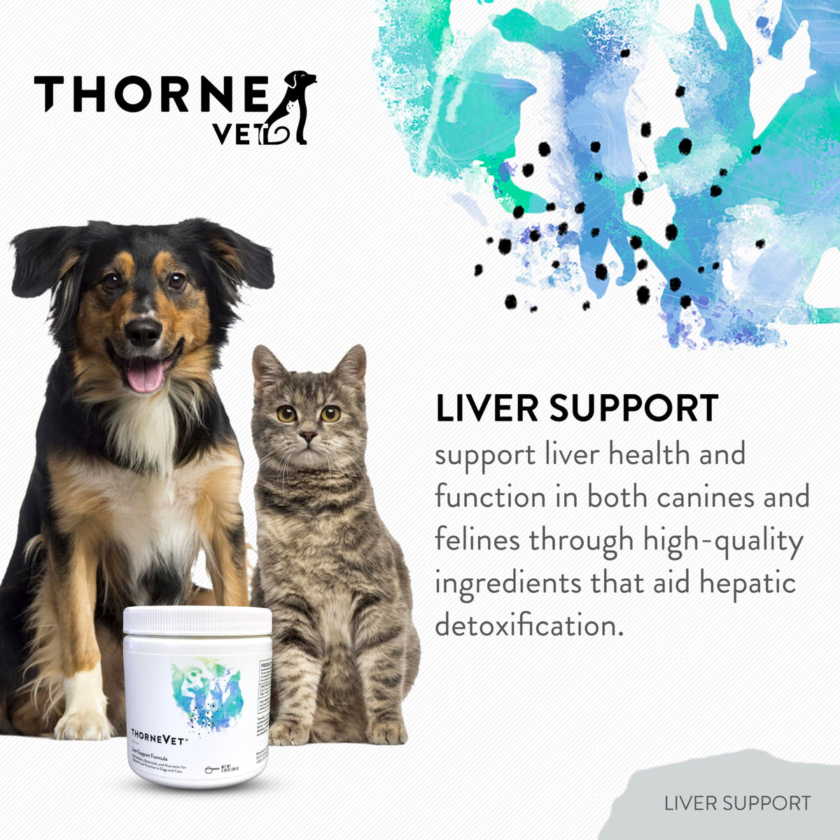 Liver Support Powder for Dogs & Cats G891