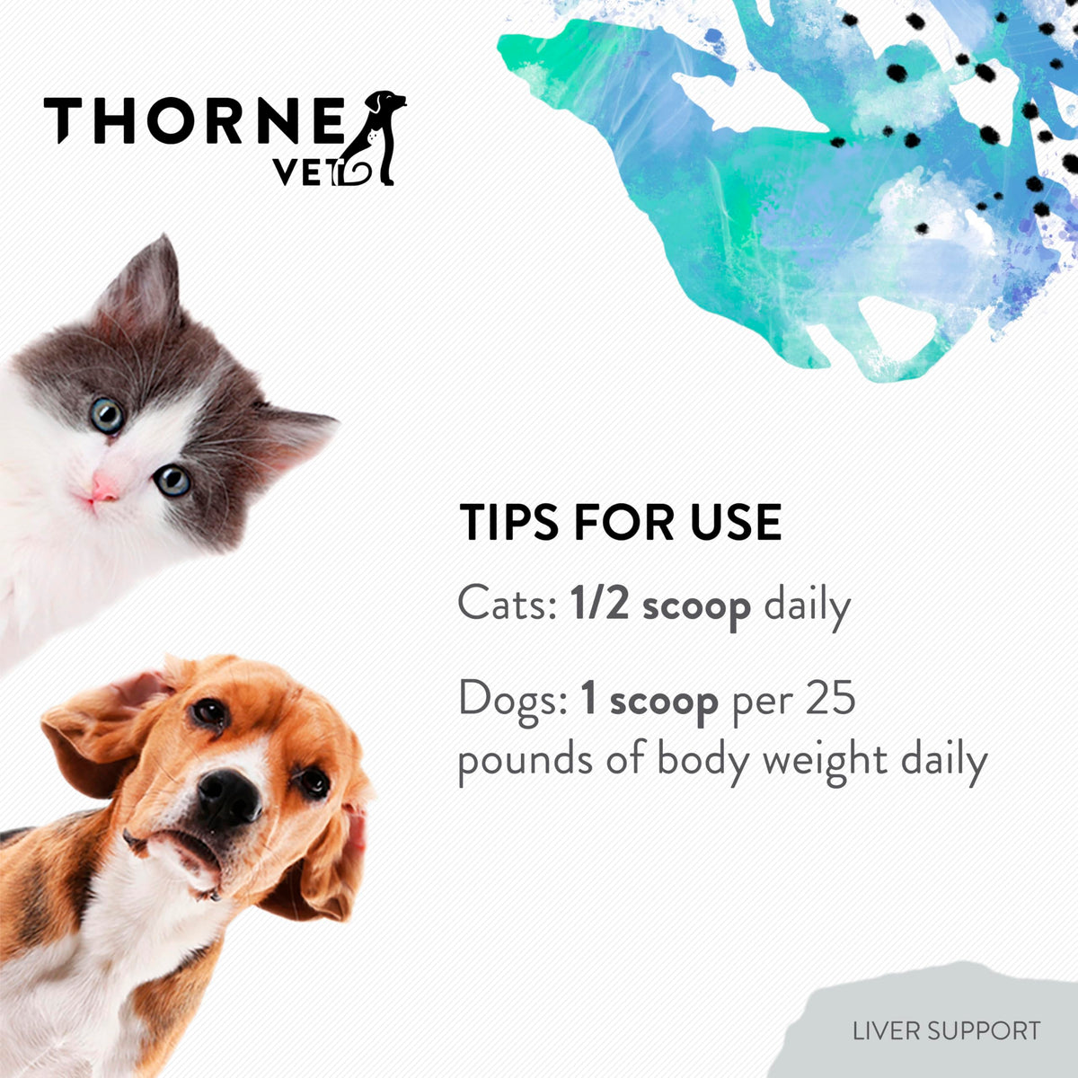 Liver Support Powder for Dogs & Cats G891