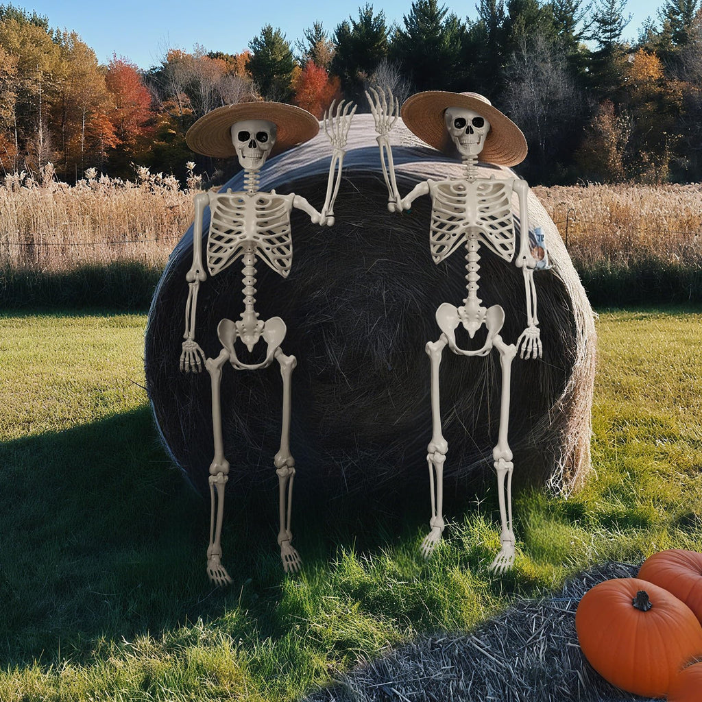 Life Size Poseable Skeleton X6399