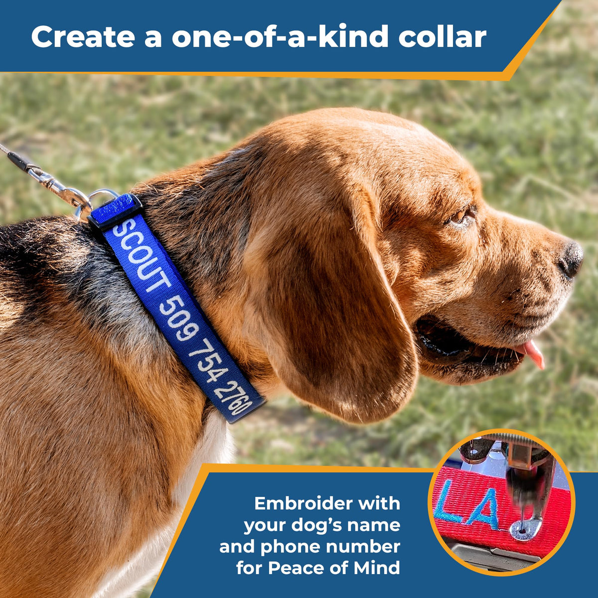 Personalized Dog Collar with Pet Name and Phone Number Q32721